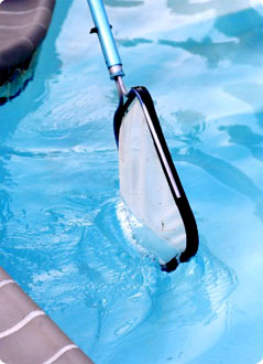 Orlando Pool Service